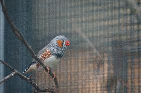 Different Animals Are Seen In A Zoo In Stuttgart, Germany