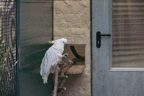 Different Animals Are Seen In A Zoo In Stuttgart, Germany