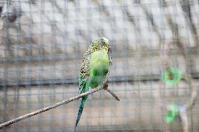 Different Animals Are Seen In A Zoo In Stuttgart, Germany