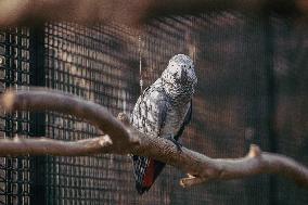 Different Animals Are Seen In A Zoo In Stuttgart, Germany