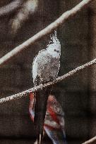 Different Animals Are Seen In A Zoo In Stuttgart, Germany