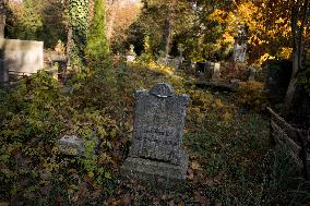 The Evangelical Augsburg Cemetery Seen In Warsaw