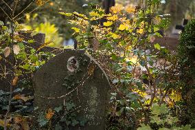 The Evangelical Augsburg Cemetery Seen In Warsaw