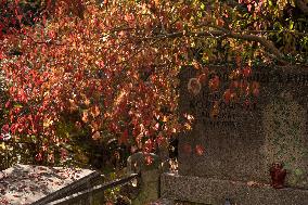 The Evangelical Augsburg Cemetery Seen In Warsaw