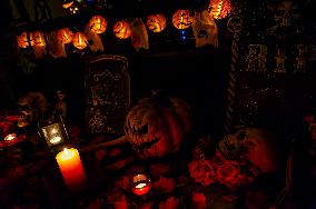 Collecting And Carving Pumpkins For Halloween Night.