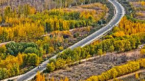 Rural Road in Zhangye