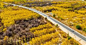 Rural Road in Zhangye