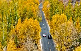 Rural Road in Zhangye