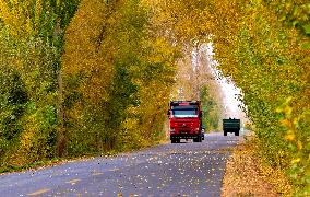 Rural Road in Zhangye