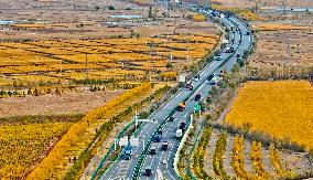 Rural Road in Zhangye