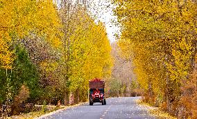 Rural Road in Zhangye