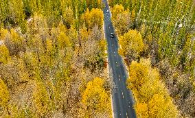 Rural Road in Zhangye