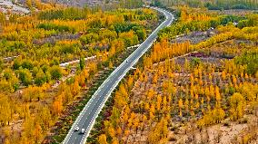 Rural Road in Zhangye