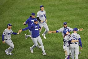 Baseball: MLB World Series