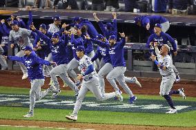 Baseball: MLB World Series