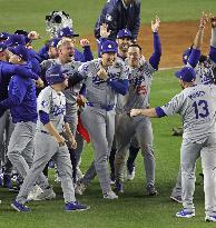 Baseball: MLB World Series