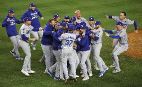 Baseball: MLB World Series