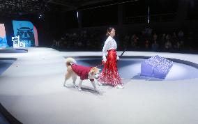 Petstar at Fashionweek in Shanghai