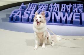 Petstar at Fashionweek in Shanghai