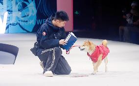 Petstar at Fashionweek in Shanghai