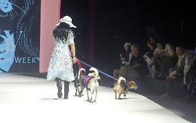 Petstar at Fashionweek in Shanghai