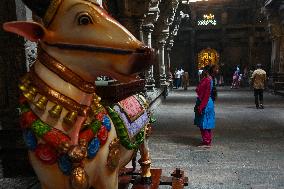 Diwali Celebrations In Sri Lanka