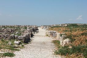 Archaeological Ruins Of Canne Della Battaglia, Site Of Hannibal’s Victory