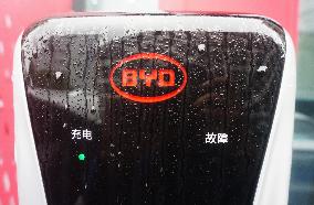 BYD Revenue Growth