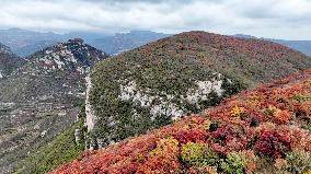 Autumn Scenery at Jiguan Mountain - China