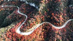 Autumn Scenery at Jiguan Mountain - China