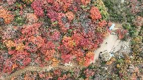 Autumn Scenery at Jiguan Mountain - China