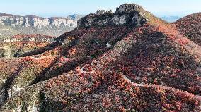 Autumn Scenery at Jiguan Mountain - China