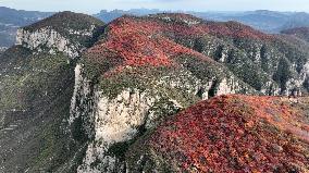 Autumn Scenery at Jiguan Mountain - China