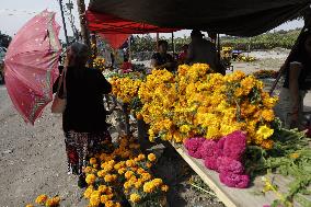 Cutting And Sale Of Cempasuchil Flower On The Occasion Of The Day Of The Dead Mexico