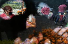 Cutting And Sale Of Cempasuchil Flower On The Occasion Of The Day Of The Dead Mexico