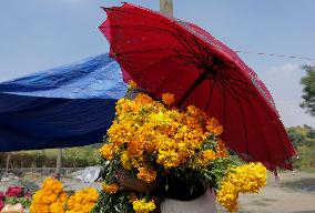 Cutting And Sale Of Cempasuchil Flower On The Occasion Of The Day Of The Dead Mexico