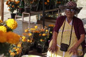 Cutting And Sale Of Cempasuchil Flower On The Occasion Of The Day Of The Dead Mexico