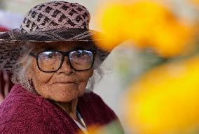 Cutting And Sale Of Cempasuchil Flower On The Occasion Of The Day Of The Dead Mexico