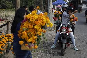 Cutting And Sale Of Cempasuchil Flower On The Occasion Of The Day Of The Dead Mexico