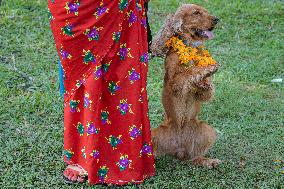 Kukur Tihar (Dog Festival) Celebrated In Nepal