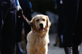 Kukur Tihar- Day Of Dogs In Nepal