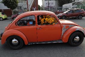 Cutting And Sale Of Cempasuchil Flower On The Occasion Of The Day Of The Dead Mexico