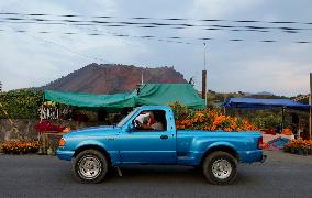 Cutting And Sale Of Cempasuchil Flower On The Occasion Of The Day Of The Dead Mexico