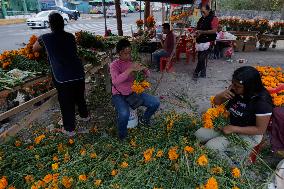 Cutting And Sale Of Cempasuchil Flower On The Occasion Of The Day Of The Dead Mexico