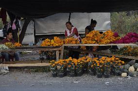 Cutting And Sale Of Cempasuchil Flower On The Occasion Of The Day Of The Dead Mexico