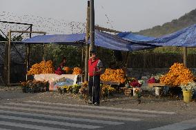 Cutting And Sale Of Cempasuchil Flower On The Occasion Of The Day Of The Dead Mexico