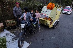 Cutting And Sale Of Cempasuchil Flower On The Occasion Of The Day Of The Dead Mexico