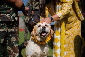 Kukur Tihar (Dog Festival) Celebrated In Nepal