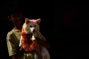 Kukur Puja Or Dog Festival Celebrated In Nepal