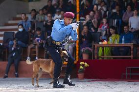 Kukur Tihar- Day Of Dogs In Nepal